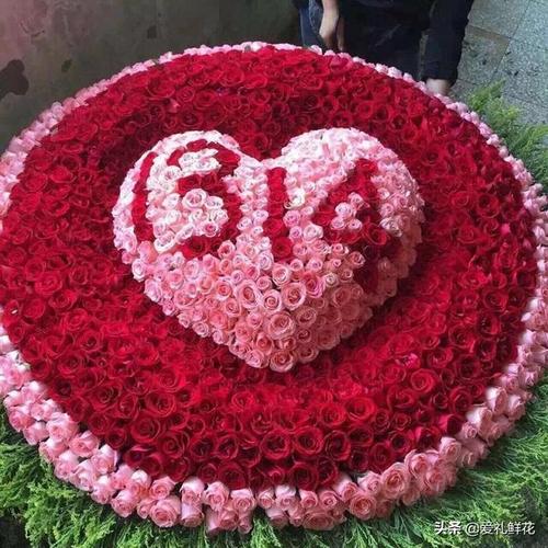 过节送花的讲究(过年送花含义)-第5张图片-花花知道网 过节送花的讲究(过年送花含义)-第5张图片-花花知道网