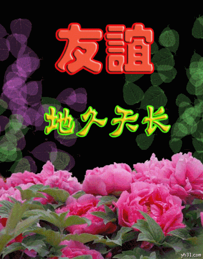 送友谊鲜花花束的寓意和花语(友谊送花的说说)-第3张图片-花花知道网 送友谊鲜花花束的寓意和花语(友谊送花的说说)-第3张图片-花花知道网