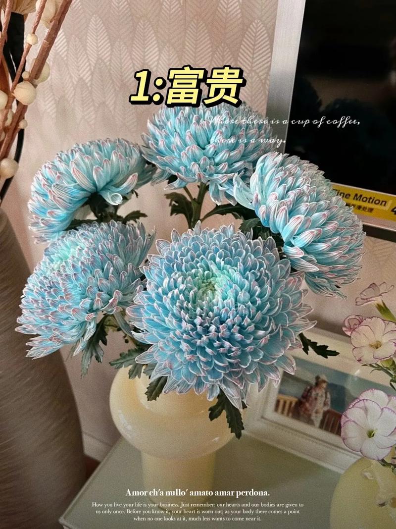 鲜花花语富贵(富贵的鲜花图片)-第7张图片-花花知道网 鲜花花语富贵(富贵的鲜花图片)-第7张图片-花花知道网