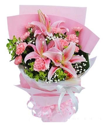 云南康乃馨鲜花花语(云南康乃馨鲜花种植基地在哪里)-第4张图片-花花知道网 云南康乃馨鲜花花语(云南康乃馨鲜花种植基地在哪里)-第4张图片-花花知道网