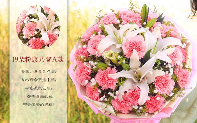 云南康乃馨鲜花花语(云南康乃馨鲜花种植基地在哪里)-第6张图片-花花知道网 云南康乃馨鲜花花语(云南康乃馨鲜花种植基地在哪里)-第6张图片-花花知道网