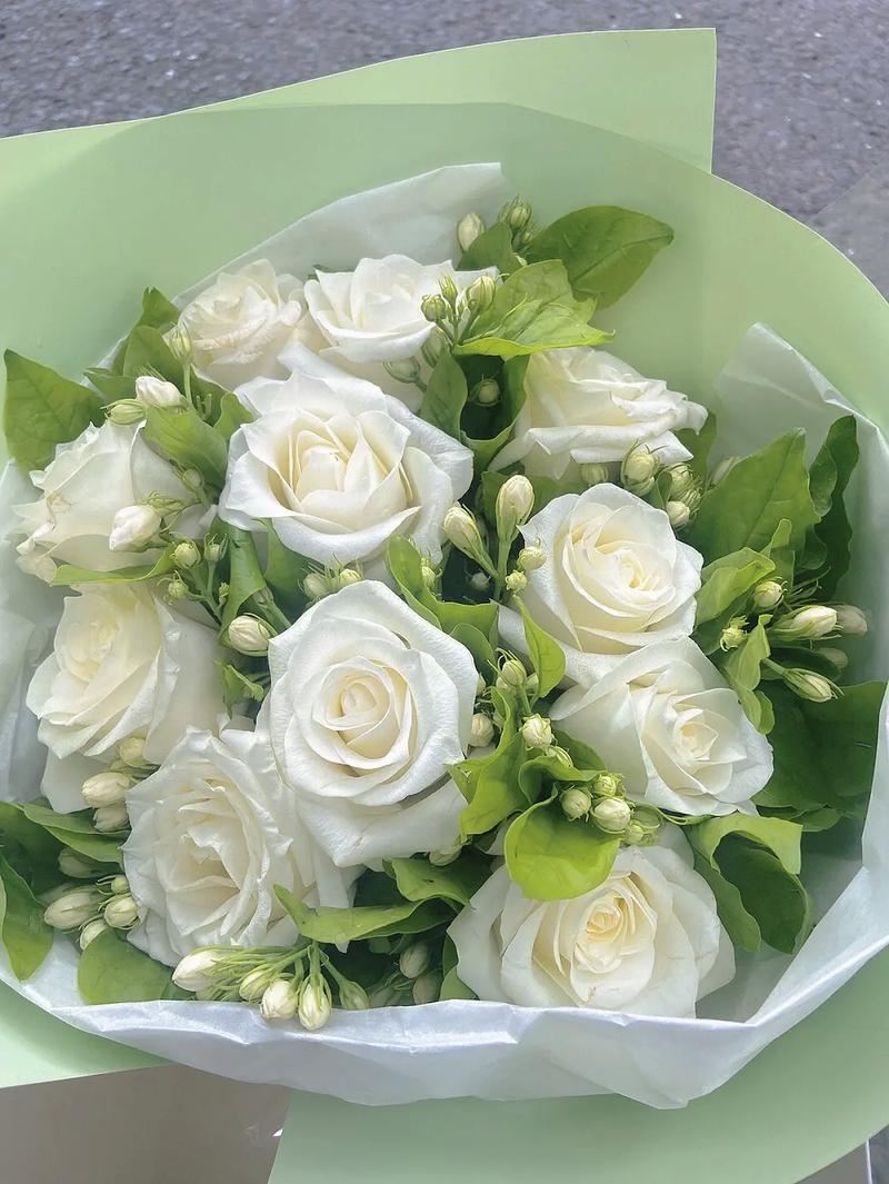 9朵鲜花什么寓意好养花(九朵鲜花)-第4张图片-花花知道网 9朵鲜花什么寓意好养花(九朵鲜花)-第4张图片-花花知道网