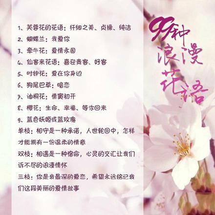 赠予情人的鲜花花语是什么(赠情人的话)-第5张图片-花花知道网 赠予情人的鲜花花语是什么(赠情人的话)-第5张图片-花花知道网