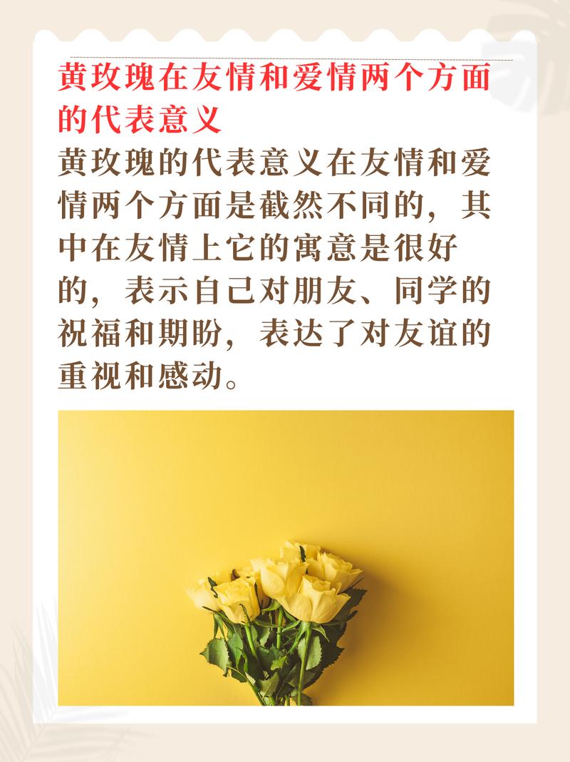 30只鲜花的寓意是啥(30只鲜花的寓意是啥意思)-第4张图片-花花知道网 30只鲜花的寓意是啥(30只鲜花的寓意是啥意思)-第4张图片-花花知道网