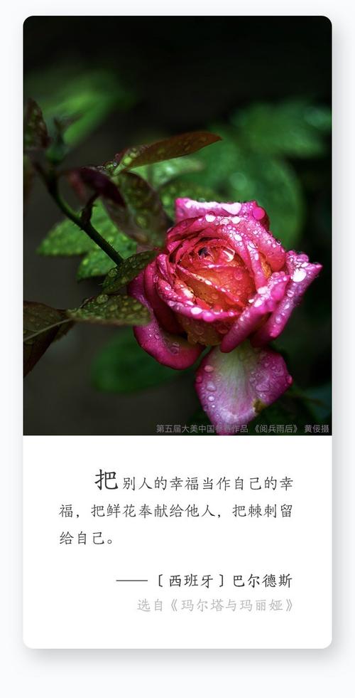 鲜花花语经典句子(鲜花花语经典句子图片)-第3张图片-花花知道网 鲜花花语经典句子(鲜花花语经典句子图片)-第3张图片-花花知道网
