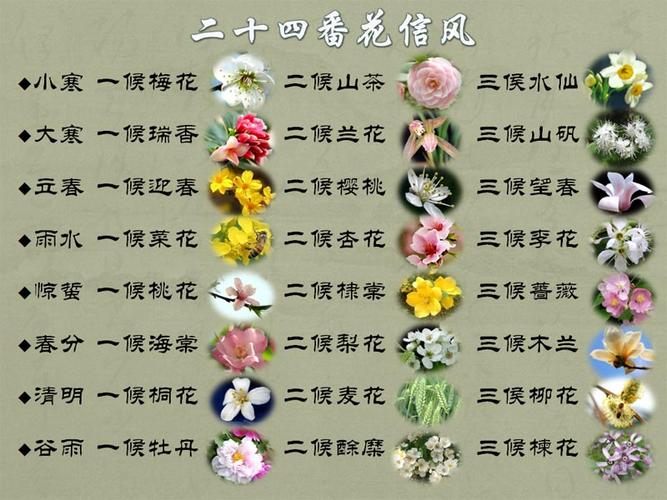 送给朋友的鲜花花语和寓意(送朋友鲜花花语大全)-第1张图片-花花知道网 送给朋友的鲜花花语和寓意(送朋友鲜花花语大全)-第1张图片-花花知道网
