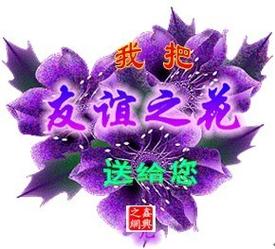 送给朋友的鲜花花语和寓意(送朋友鲜花花语大全)-第6张图片-花花知道网 送给朋友的鲜花花语和寓意(送朋友鲜花花语大全)-第6张图片-花花知道网