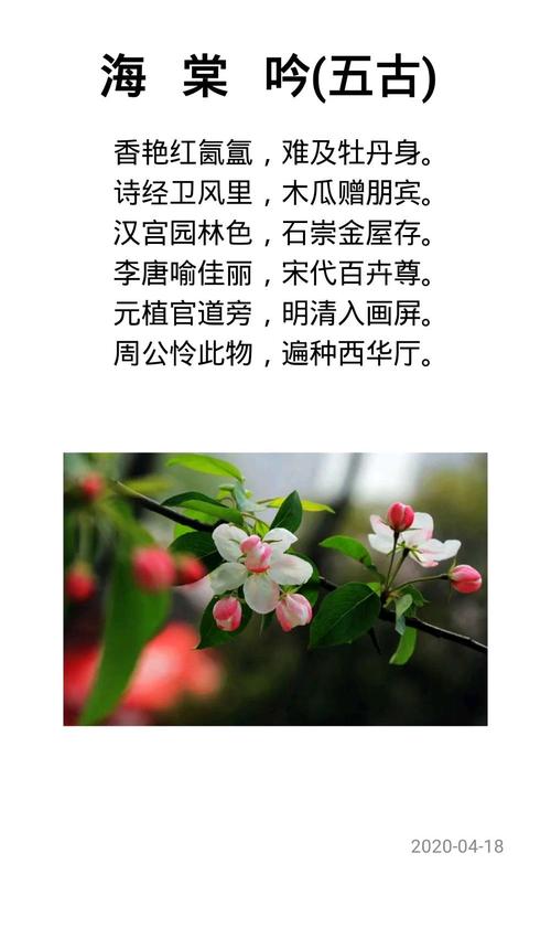 鲜花花语相思(表达相思的花语)-第2张图片-花花知道网 鲜花花语相思(表达相思的花语)-第2张图片-花花知道网