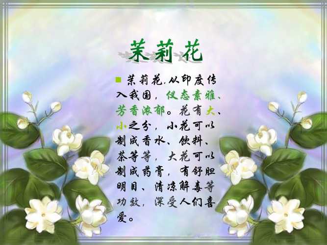 鲜花茉莉花花语寓意和象征(鲜花茉莉花花语寓意和象征)-第6张图片-花花知道网 鲜花茉莉花花语寓意和象征(鲜花茉莉花花语寓意和象征)-第6张图片-花花知道网