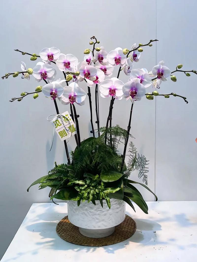 给离职的同事鲜花花语图片的简单介绍-第3张图片-花花知道网 给离职的同事鲜花花语图片的简单介绍-第3张图片-花花知道网
