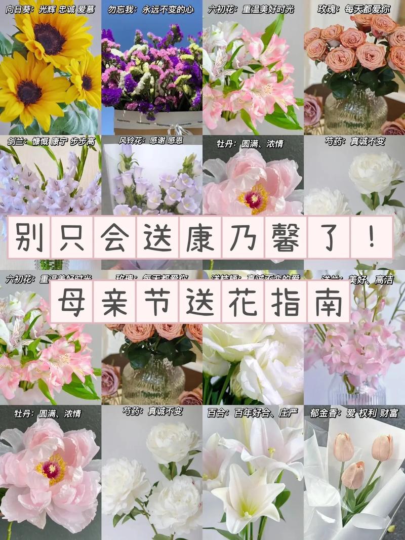 给母亲送花的方式有什么讲究(给母亲送鲜花)-第7张图片-花花知道网 给母亲送花的方式有什么讲究(给母亲送鲜花)-第7张图片-花花知道网