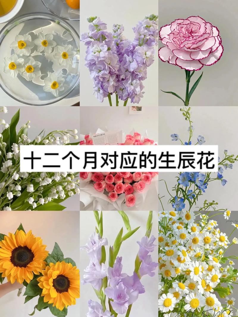 38支鲜花寓意(39支花的意义是什么)-第1张图片-花花知道网 38支鲜花寓意(39支花的意义是什么)-第1张图片-花花知道网