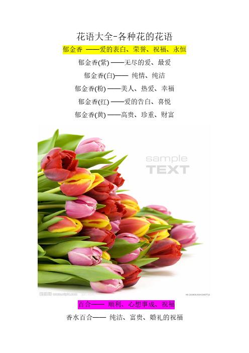 10朵郁金香鲜花花束寓意(10朵郁金香鲜花花束寓意)-第1张图片-花花知道网 10朵郁金香鲜花花束寓意(10朵郁金香鲜花花束寓意)-第1张图片-花花知道网