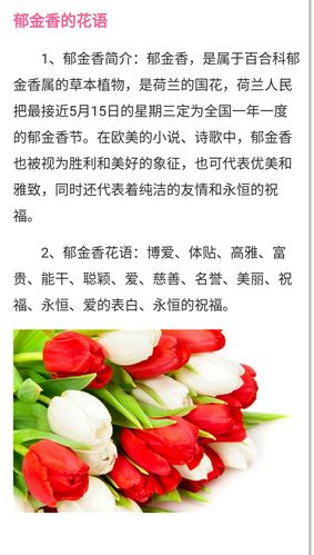 10朵郁金香鲜花花束寓意(10朵郁金香鲜花花束寓意)-第5张图片-花花知道网 10朵郁金香鲜花花束寓意(10朵郁金香鲜花花束寓意)-第5张图片-花花知道网