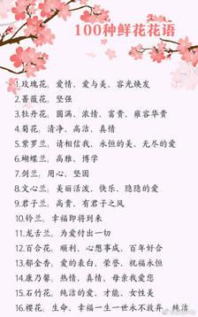 所有鲜花花期和花语一样吗(各种鲜花的花语是什么)-第5张图片-花花知道网 所有鲜花花期和花语一样吗(各种鲜花的花语是什么)-第5张图片-花花知道网