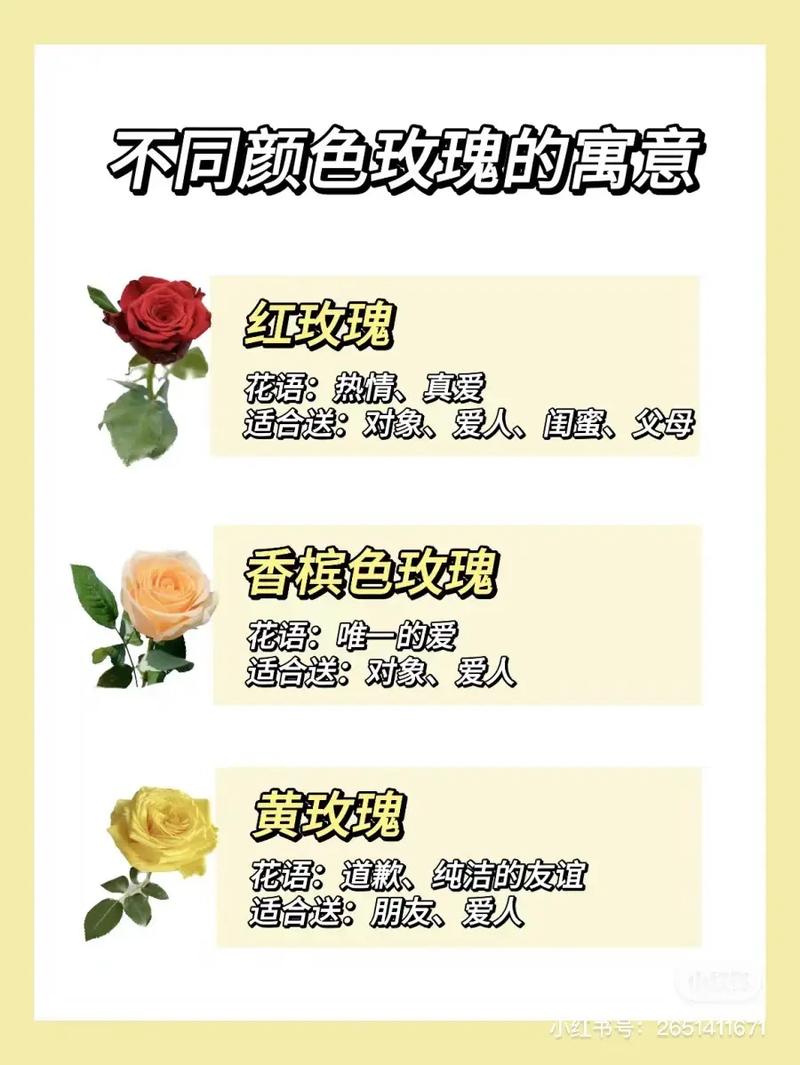 33朵红玫瑰鲜花寓意着什么(33朵红玫瑰是什么寓意)-第1张图片-花花知道网 33朵红玫瑰鲜花寓意着什么(33朵红玫瑰是什么寓意)-第1张图片-花花知道网