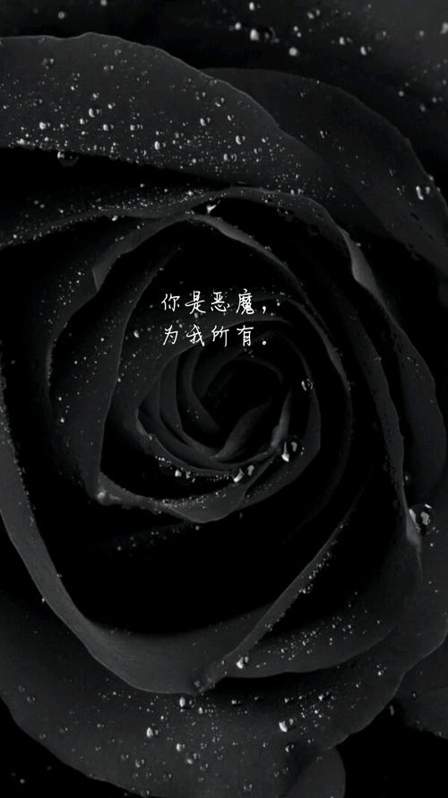 暗黑玫瑰鲜花花语大全(暗黑玫瑰花头像)-第4张图片-花花知道网 暗黑玫瑰鲜花花语大全(暗黑玫瑰花头像)-第4张图片-花花知道网