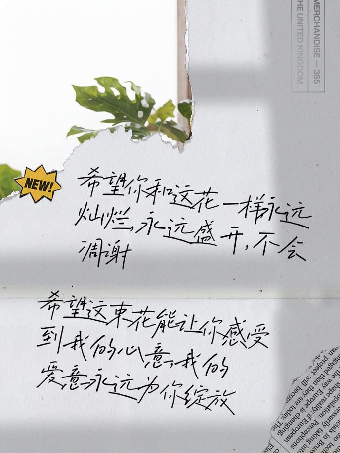 送花的讲究文案(送花的讲究文案怎么写)-第3张图片-花花知道网 送花的讲究文案(送花的讲究文案怎么写)-第3张图片-花花知道网