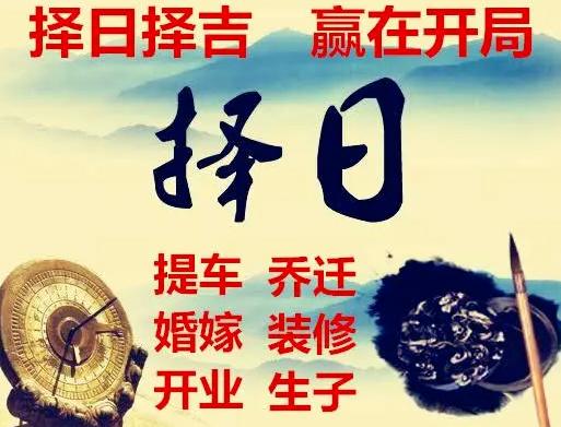 招财猫与鲜花花语(招财猫与鲜花花语区别)-第4张图片-花花知道网 招财猫与鲜花花语(招财猫与鲜花花语区别)-第4张图片-花花知道网