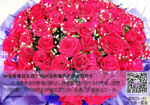 99朵结婚纪念日鲜花寓意(结婚纪念日多少朵花比较好)-第4张图片-花花知道网 99朵结婚纪念日鲜花寓意(结婚纪念日多少朵花比较好)-第4张图片-花花知道网