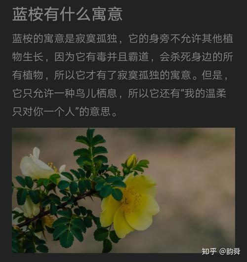 霸道的鲜花花语(霸道总裁花语)-第6张图片-花花知道网 霸道的鲜花花语(霸道总裁花语)-第6张图片-花花知道网