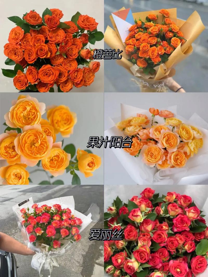 橘色鲜花花语(橘色花都有什么)-第4张图片-花花知道网 橘色鲜花花语(橘色花都有什么)-第4张图片-花花知道网
