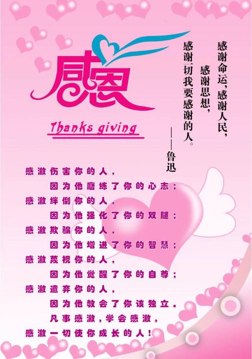 5束鲜花的寓意(送花5朵)-第2张图片-花花知道网 5束鲜花的寓意(送花5朵)-第2张图片-花花知道网