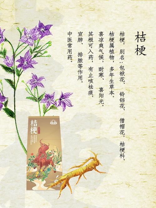 长白山鲜花花语(长白山山花节)-第1张图片-花花知道网 长白山鲜花花语(长白山山花节)-第1张图片-花花知道网
