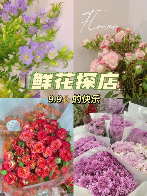 240朵鲜花代表什么寓意(送花210朵什么意思)-第1张图片-花花知道网 240朵鲜花代表什么寓意(送花210朵什么意思)-第1张图片-花花知道网