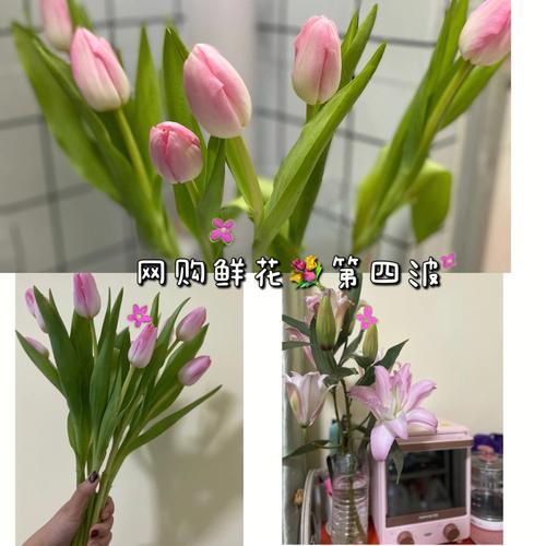 郁金香和百合鲜花花语区别(郁金香跟百合放在一起是什么意思)-第4张图片-花花知道网 郁金香和百合鲜花花语区别(郁金香跟百合放在一起是什么意思)-第4张图片-花花知道网
