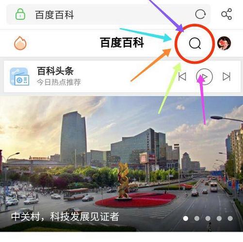 百科生日送花的讲究(生日送花会不会不好)-第4张图片-花花知道网 百科生日送花的讲究(生日送花会不会不好)-第4张图片-花花知道网