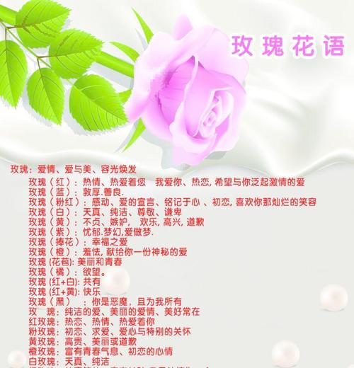 25支玫瑰鲜花代表的寓意(25支玫瑰什么意思)-第3张图片-花花知道网 25支玫瑰鲜花代表的寓意(25支玫瑰什么意思)-第3张图片-花花知道网