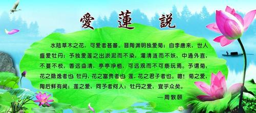 睡莲鲜花花语和寓意(睡莲的花语和寓意还有传说)-第3张图片-花花知道网 睡莲鲜花花语和寓意(睡莲的花语和寓意还有传说)-第3张图片-花花知道网