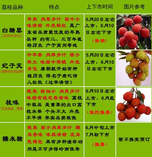 33颗荔枝鲜花花语(荔枝的花语是什么意思)-第8张图片-花花知道网 33颗荔枝鲜花花语(荔枝的花语是什么意思)-第8张图片-花花知道网