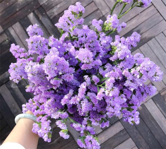 鲜花花语代表友情和爱情(鲜花花语经典句子)-第1张图片-花花知道网 鲜花花语代表友情和爱情(鲜花花语经典句子)-第1张图片-花花知道网