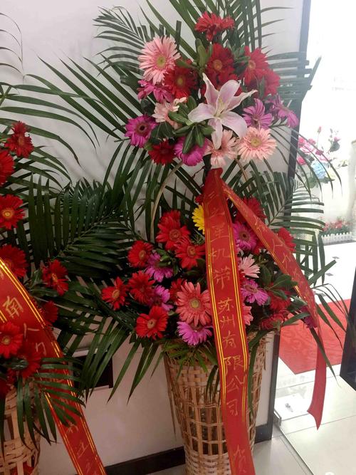 公司乔迁送花的讲究(公司乔迁送什么花寓意好)-第4张图片-花花知道网 公司乔迁送花的讲究(公司乔迁送什么花寓意好)-第4张图片-花花知道网
