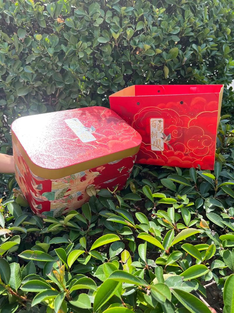 月饼鲜花花语(鲜花月饼口感描述)-第2张图片-花花知道网 月饼鲜花花语(鲜花月饼口感描述)-第2张图片-花花知道网