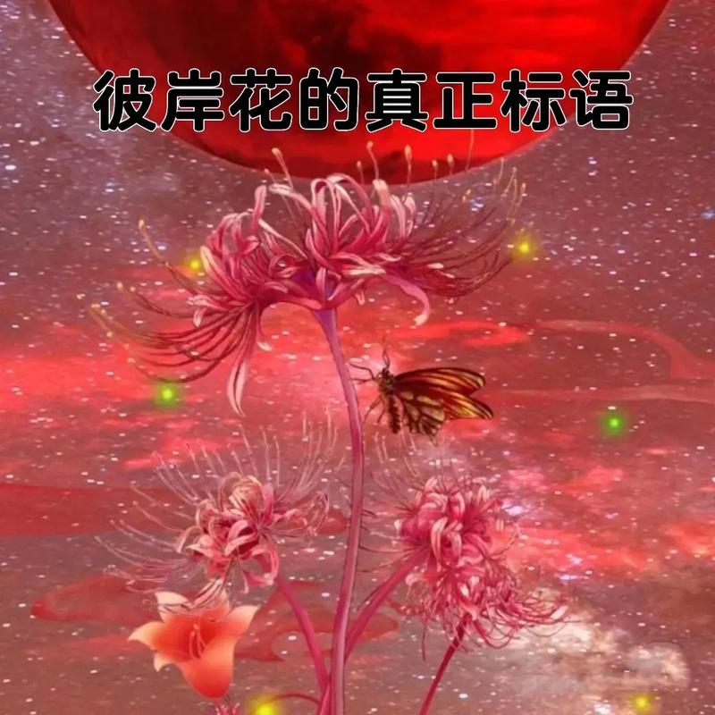 鲜花花语花影(各种常见鲜花花语)-第4张图片-花花知道网 鲜花花语花影(各种常见鲜花花语)-第4张图片-花花知道网