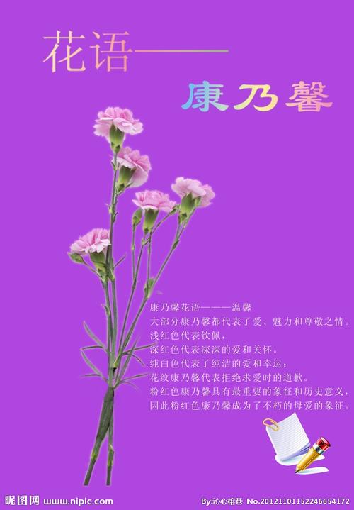 鲜花花语健康(寓意身体健康的鲜花)-第5张图片-花花知道网 鲜花花语健康(寓意身体健康的鲜花)-第5张图片-花花知道网