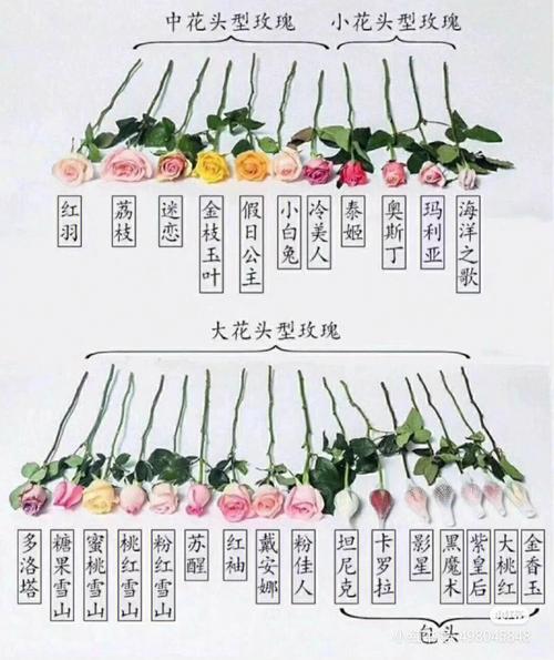 结婚的时候送花有什么讲究(结婚送花好不好)-第3张图片-花花知道网 结婚的时候送花有什么讲究(结婚送花好不好)-第3张图片-花花知道网