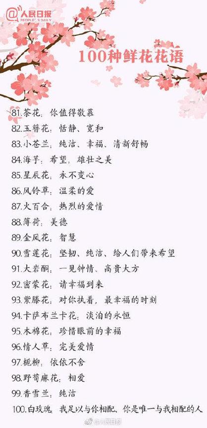鲜花花语和花名有关(鲜花花语和花名有关的名字)-第1张图片-花花知道网 鲜花花语和花名有关(鲜花花语和花名有关的名字)-第1张图片-花花知道网