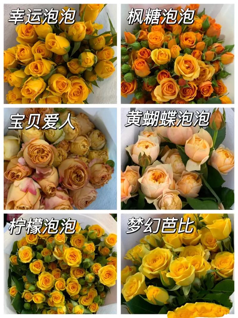 折色多头泡泡鲜花花语(多头泡泡醒花视频)-第1张图片-花花知道网 折色多头泡泡鲜花花语(多头泡泡醒花视频)-第1张图片-花花知道网