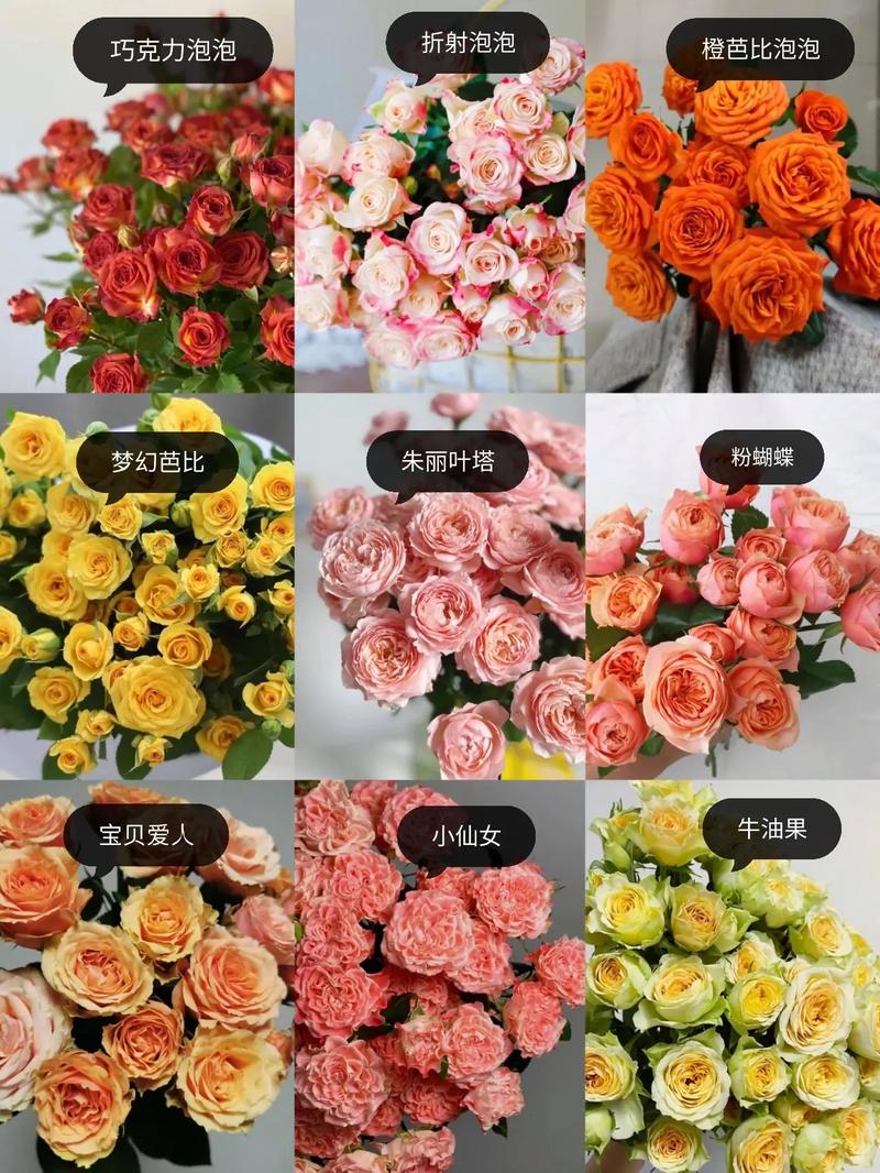 折色多头泡泡鲜花花语(多头泡泡醒花视频)-第3张图片-花花知道网 折色多头泡泡鲜花花语(多头泡泡醒花视频)-第3张图片-花花知道网