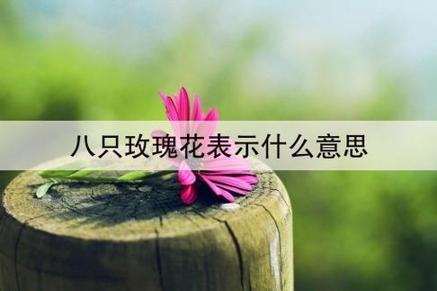 8朵鲜花的寓意及花语是什么(8朵鲜花的寓意及花语是什么意思)-第5张图片-花花知道网 8朵鲜花的寓意及花语是什么(8朵鲜花的寓意及花语是什么意思)-第5张图片-花花知道网