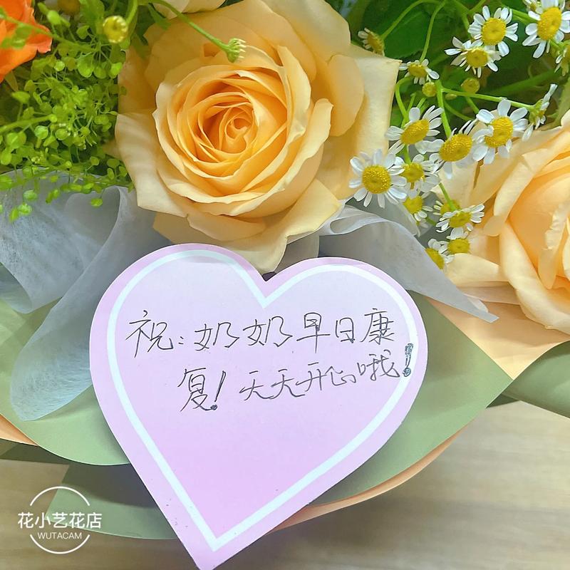 生病送花的讲究(生病送花写什么祝福语)-第4张图片-花花知道网 生病送花的讲究(生病送花写什么祝福语)-第4张图片-花花知道网
