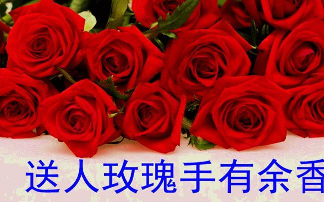 58朵鲜花有什么寓意(58朵玫瑰花是什么意思)-第3张图片-花花知道网 58朵鲜花有什么寓意(58朵玫瑰花是什么意思)-第3张图片-花花知道网