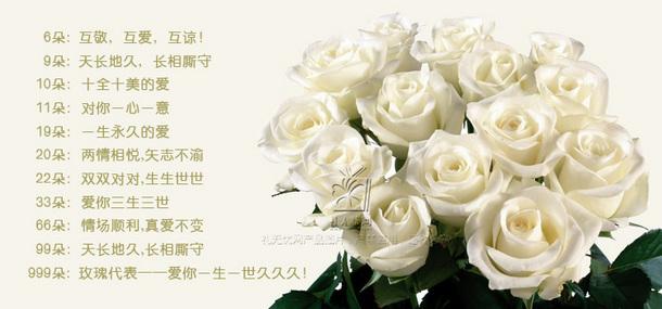 9朵情人节鲜花寓意什么(情人节99朵玫瑰花图片)-第7张图片-花花知道网 9朵情人节鲜花寓意什么(情人节99朵玫瑰花图片)-第7张图片-花花知道网