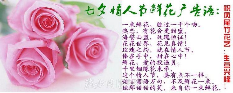 2022年收到第一束鲜花寓意(收到第一束花怎么说)-第4张图片-花花知道网 2022年收到第一束鲜花寓意(收到第一束花怎么说)-第4张图片-花花知道网