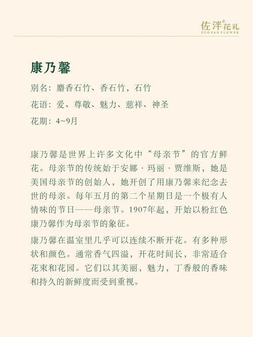 鲜花花束19朵花语和寓意(鲜花19朵代表的含义)-第2张图片-花花知道网 鲜花花束19朵花语和寓意(鲜花19朵代表的含义)-第2张图片-花花知道网