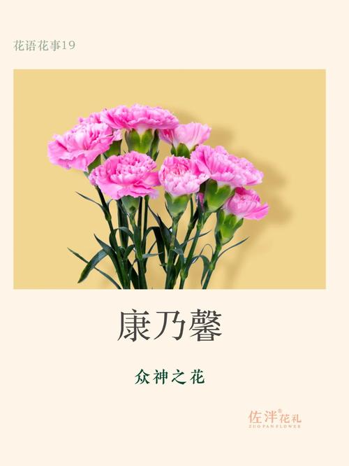 鲜花花束19朵花语和寓意(鲜花19朵代表的含义)-第5张图片-花花知道网 鲜花花束19朵花语和寓意(鲜花19朵代表的含义)-第5张图片-花花知道网